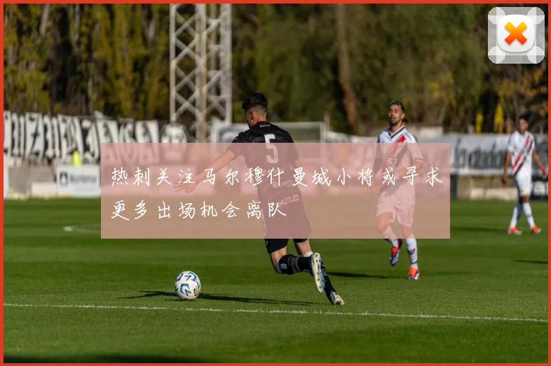 热刺关注马尔穆什曼城小将或寻求更多出场机会离队